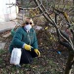 Применение бордоской жидкости (смеси) в садоводстве весной и осенью