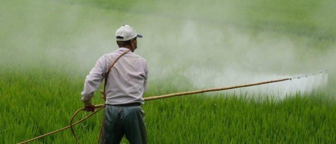 Пестициды и агрохимикаты