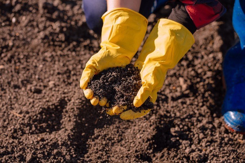 Осенняя обработка почвы