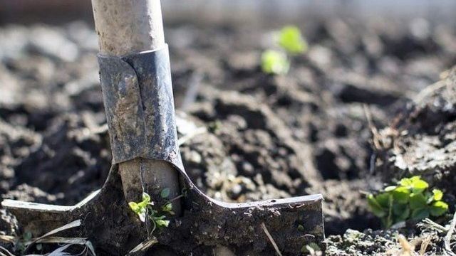 Обеззараживание почвы в теплице: как продезинфицировать землю, какие препараты использовать, чем обработать, осенью