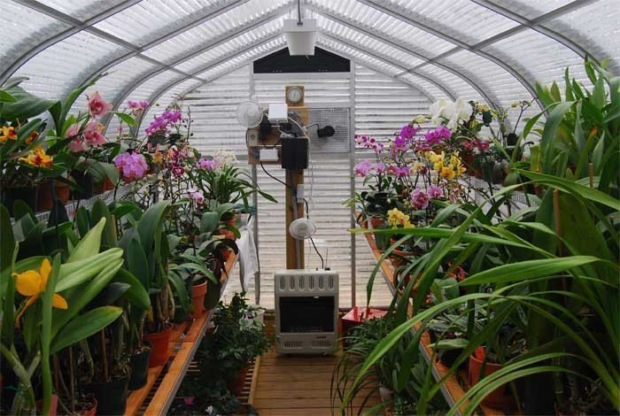 Монреальский ботанический сад оранжерея