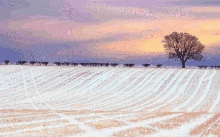 Зимнее поле панорама