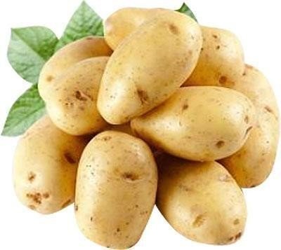 Картофельный сорт гата