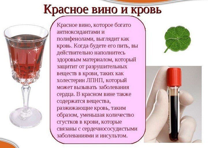 Красное вино для разжижения крови