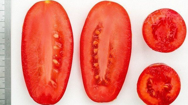 Сорт томатов Каспар F1: описание, фото, урожайность