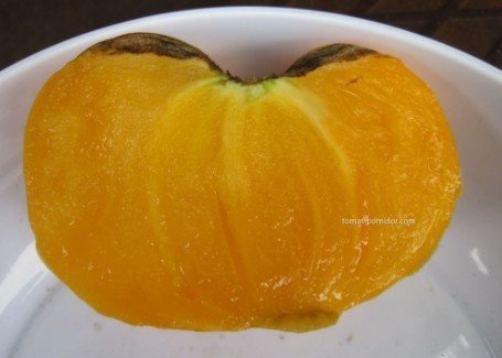 Томат оранжевое сердце лискин нос