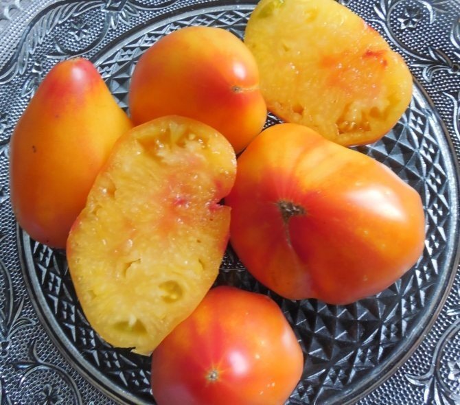Оранж рашен томат