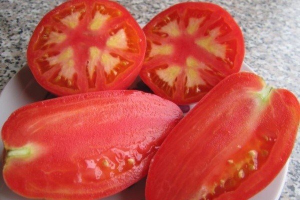 Сорт помидор петруша огородник