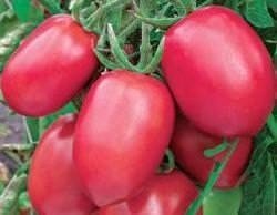 Семена томат де барао розовый