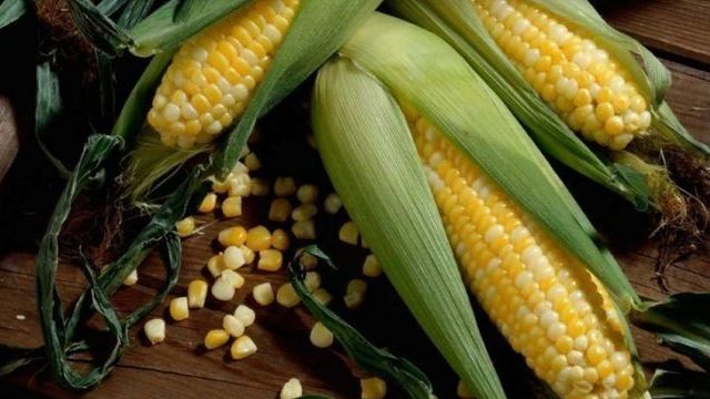 Как заморозить кукурузу на зиму