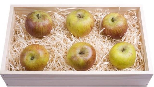Актуальный вопрос: можно ли хранить яблоки в холодильнике?
