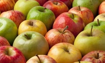 Разные сорта яблок