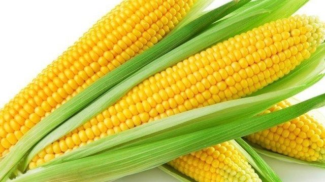 Как хранить кукурузу на зиму: заморозить в початках или зернах