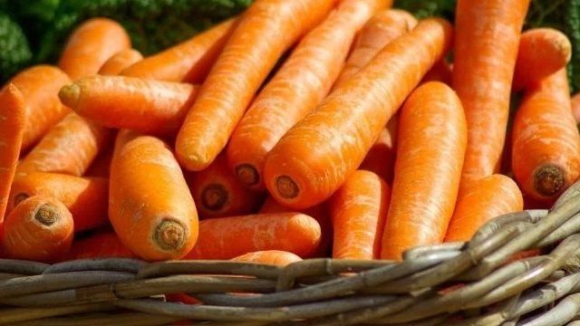 Как хранить морковь в квартире или погребе зимой