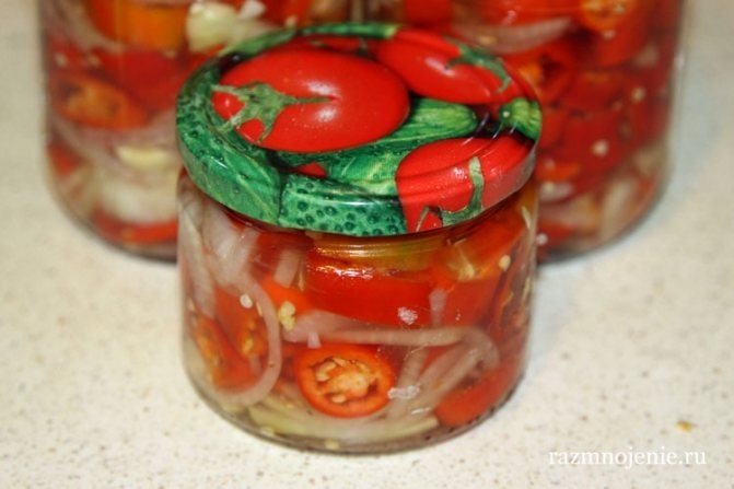 Донской салат рецепт на зиму с огурцами и помидорами