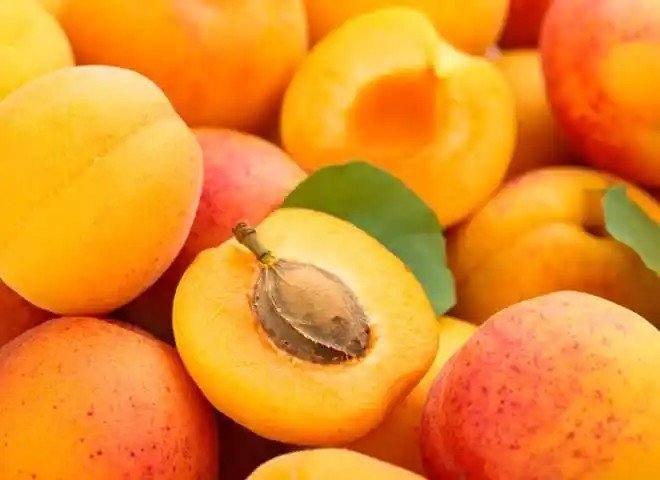 Нектарин персик абрикос слива