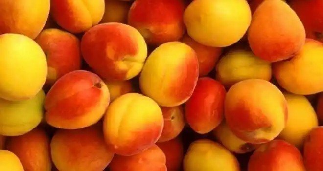 Персик нектарин абрикос