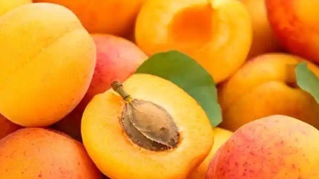 Заморозка абрикосов на зиму без сахара. Как заморозить абрикосы на зиму? Можно ли замораживать абрикосы